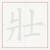 Step-by-step stroke order for 壯