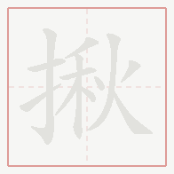 Step-by-step stroke order for 揪