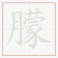 Step-by-step stroke order for 朦