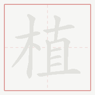 Step-by-step stroke order for 植