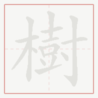 Step-by-step stroke order for 樹