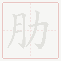 Step-by-step stroke order for 肋