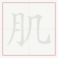 Step-by-step stroke order for 肌