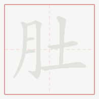 Step-by-step stroke order for 肚