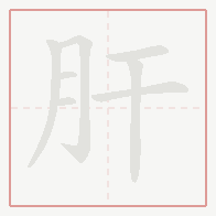 Step-by-step stroke order for 肝