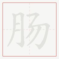 Step-by-step stroke order for 肠