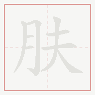 Step-by-step stroke order for 肤