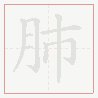 Step-by-step stroke order for 肺
