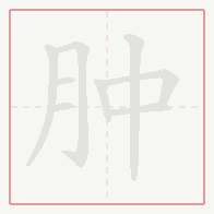 Step-by-step stroke order for 肿