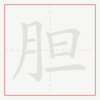 Step-by-step stroke order for 胆