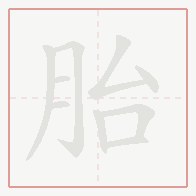 Step-by-step stroke order for 胎