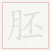 Step-by-step stroke order for 胚
