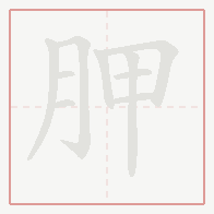 Step-by-step stroke order for 胛