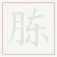Step-by-step stroke order for 胨