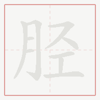Step-by-step stroke order for 胫