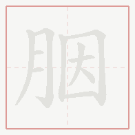 Step-by-step stroke order for 胭