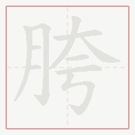 Step-by-step stroke order for 胯