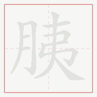 Step-by-step stroke order for 胰