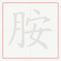 Step-by-step stroke order for 胺