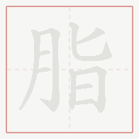 Step-by-step stroke order for 脂