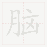 Step-by-step stroke order for 脑