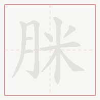 Step-by-step stroke order for 脒