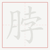 Step-by-step stroke order for 脖