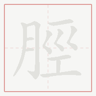 Step-by-step stroke order for 脛