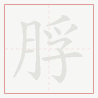 Step-by-step stroke order for 脬