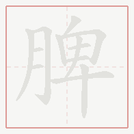 Step-by-step stroke order for 脾