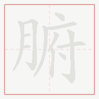 Step-by-step stroke order for 腑