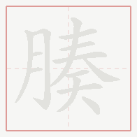 Step-by-step stroke order for 腠