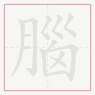 Step-by-step stroke order for 腦