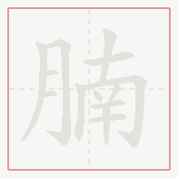 Step-by-step stroke order for 腩