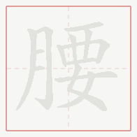 Step-by-step stroke order for 腰