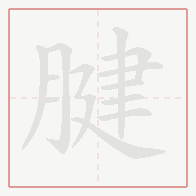 Step-by-step stroke order for 腱