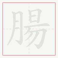 Step-by-step stroke order for 腸