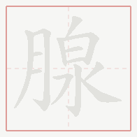 Step-by-step stroke order for 腺