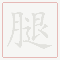 Step-by-step stroke order for 腿