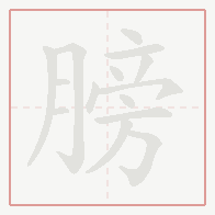 Step-by-step stroke order for 膀