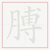 Step-by-step stroke order for 膊