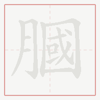 Step-by-step stroke order for 膕