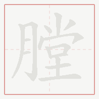 Step-by-step stroke order for 膛