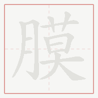 Step-by-step stroke order for 膜