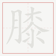 Step-by-step stroke order for 膝