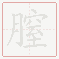 Step-by-step stroke order for 膣