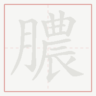Step-by-step stroke order for 膿