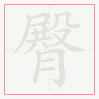 Step-by-step stroke order for 臀