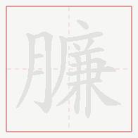 Step-by-step stroke order for 臁