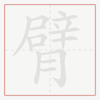 Step-by-step stroke order for 臂
